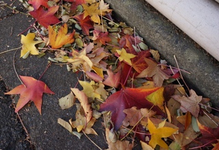 和地山公園の紅葉