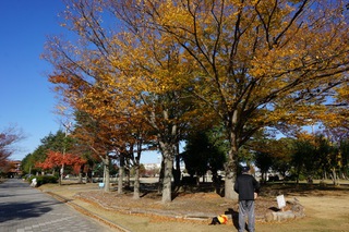 和地山公園の紅葉