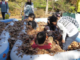 みどり～なの紅葉