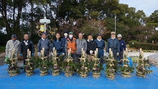 みどり～な職員から学ぶ門松づくり講座
