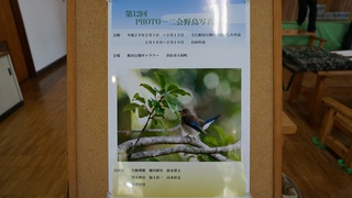 2月のギャラリーは野鳥写真展