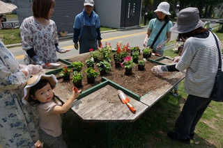 緑のカーテンとレイズドベッド　和地山公園