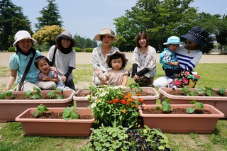 緑のカーテンとレイズドベッド　和地山公園