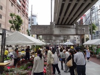 はままつ春の都市緑化フェア2013