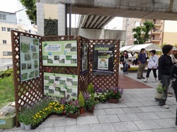 はままつ春の都市緑化フェア2013