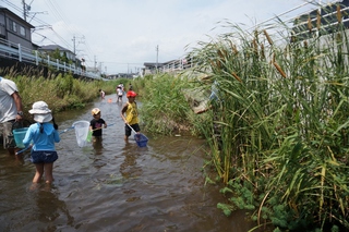 佐鳴湖の自然に親しむ会