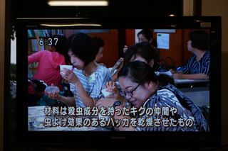 昔ながらの蚊取り線香づくり
