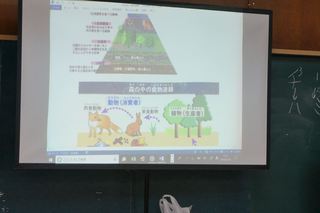 お部屋de採れたて！マイ畑　2018
