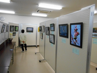 佐鳴湖自然作品展開催中です