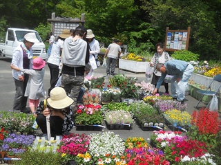 １０月イベントのお知らせ