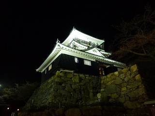 浜松城公園　夜桜