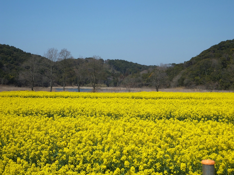 2014春＠浜松アリーナ