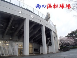 雨の浜松球場