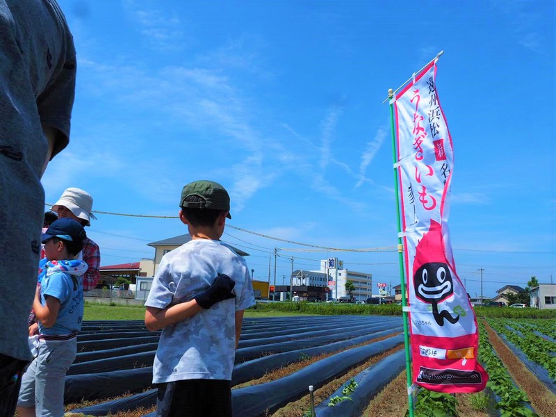 【コラボ企画】”うなぎいも×はまぞう”の親子で楽しむ「苗植えつけ体験」が大人気でした！