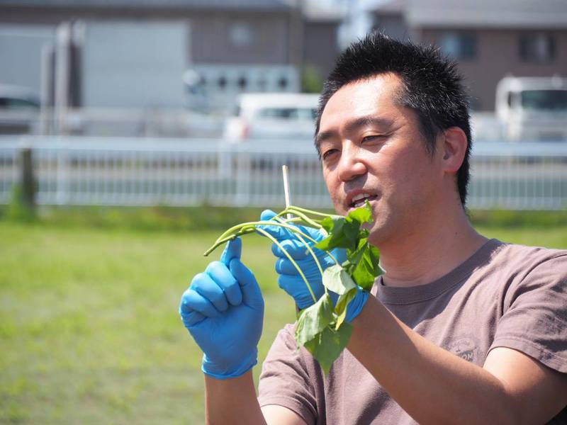 【コラボ企画】”うなぎいも×はまぞう”の親子で楽しむ「苗植えつけ体験」が大人気でした！