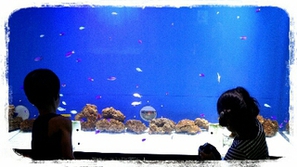 気軽に浜名湖を知る施設、浜名湖体験学習施設「ウォット」は小さな子でも楽しめる！
