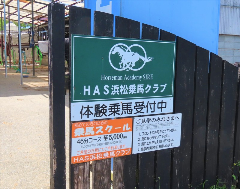 【乗馬はいかが】HAS浜松乗馬クラブでの体験記