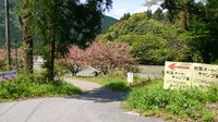気田川の流れ 2015/04/24 13:26:29