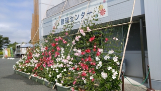 ノルディックウォーク体験教室　in　浜名湖ガーデンパーク