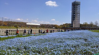 ノルディックウォーク体験教室 in 浜名湖ガーデンパーク