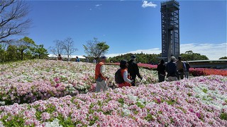 ノルディックウォーク体験教室 in 浜名湖ガーデンパーク