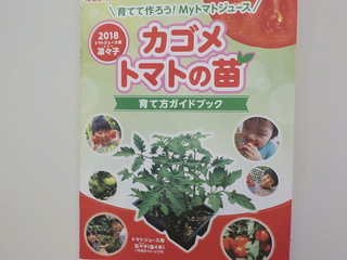 ほしグループ☆トマトを育てる！