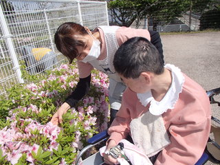 春のぽかぽか陽気の出来事（スマイル）