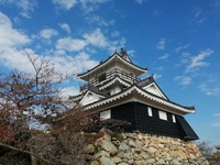 浜松城公園を散歩