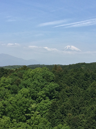 富士山