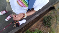 ご報告 2024/07/16 21:44:35