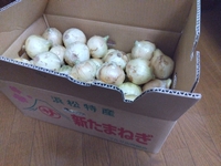 旬 2023/02/18 08:33:00