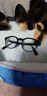 デビュー 2022/09/02 00:09:10