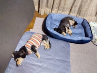 ７月 2023/07/04 02:40:11