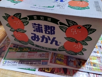 冬と言えば 2023/12/25 13:33:24
