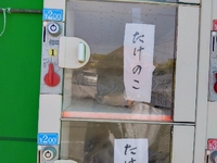 出遅れるましたが… 2023/04/18 01:47:07
