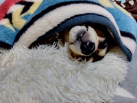 上がったり下がったり 2024/02/27 02:05:53