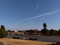 春探し 2023/02/10 01:24:19