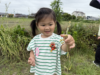 お散歩に行ったよ！（保育部）