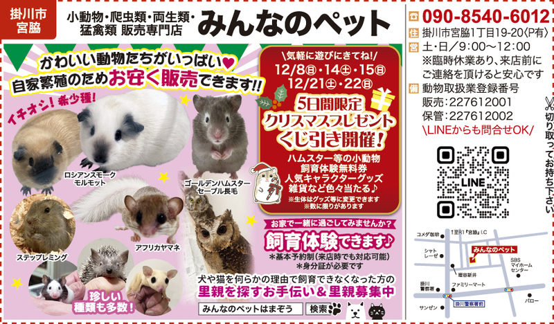 ★ピックアップ★Goodひかりあべにゅう11/22号