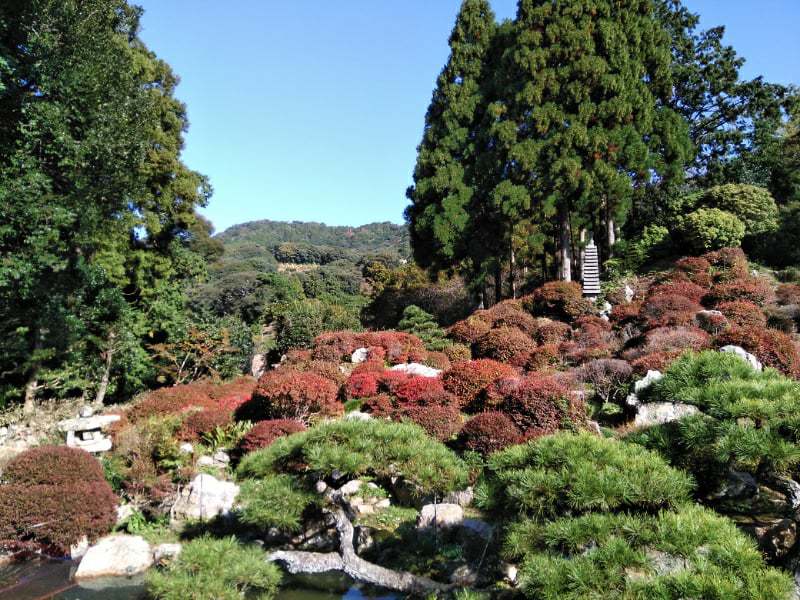 長楽寺の紅葉