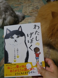 世界猫の日 2017/08/08 21:37:23