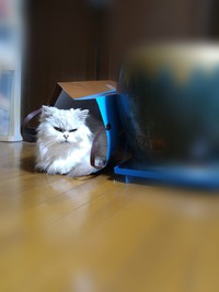 涙 2017/05/01 07:27:17