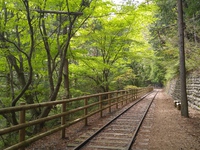 廃線路ウオーク 2017/07/28 19:44:19