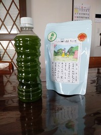 この季節がやってきた