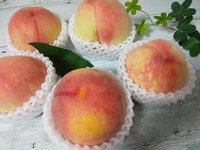 誕生日プレゼント