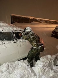 コメントが励みになる