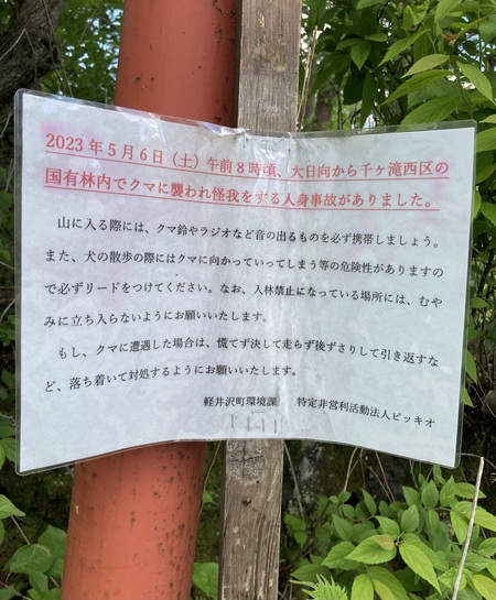 ＜長野県＞小浅間山登山 [ ひ ]