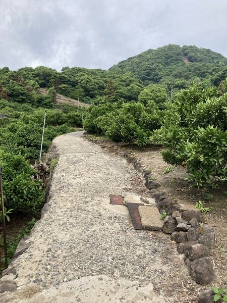 愛媛県の離島 輿居島の小富士＜愛媛県3＞