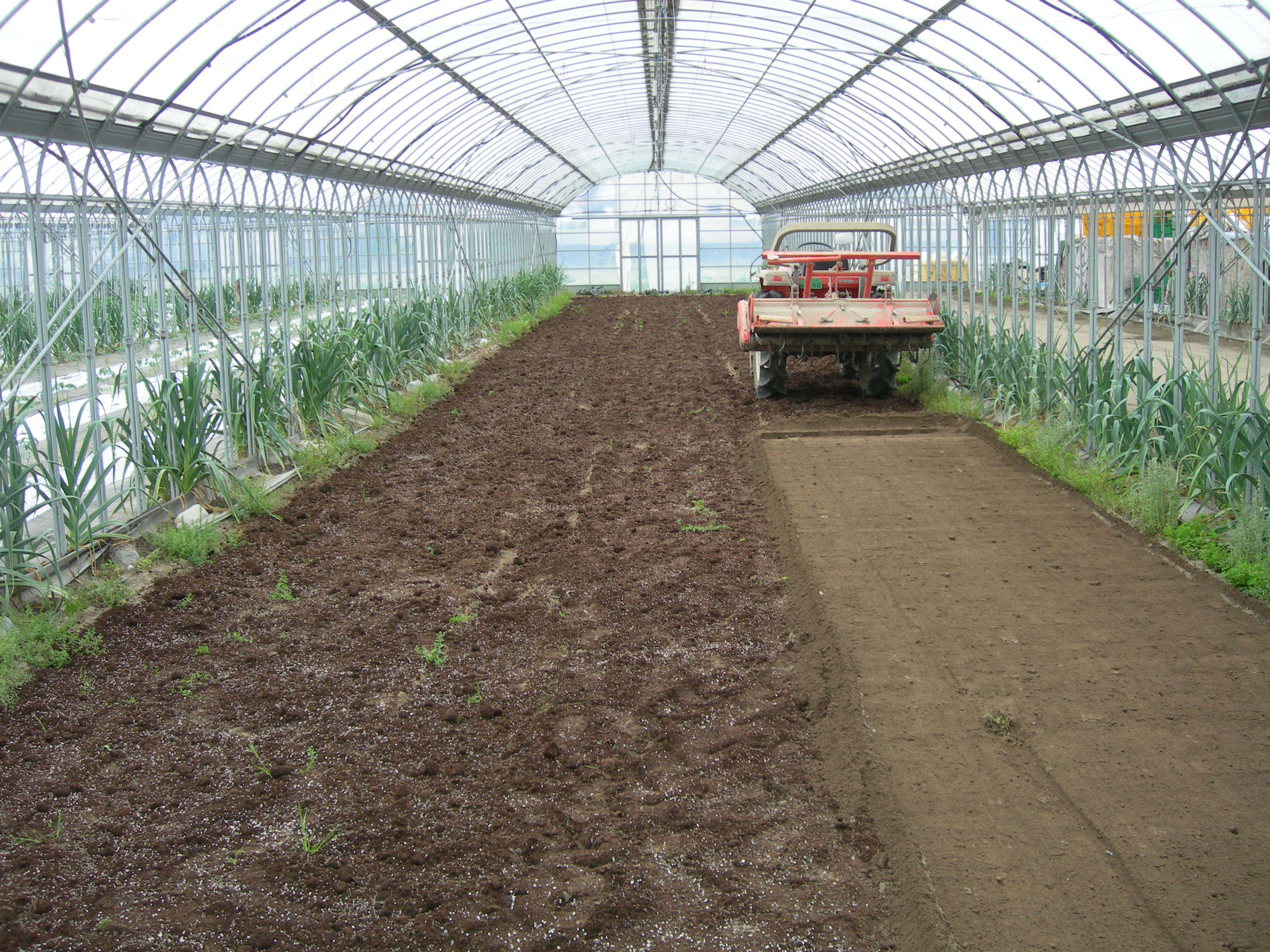 トマトの畑づくり　肥料撒きとトラクターの出番！