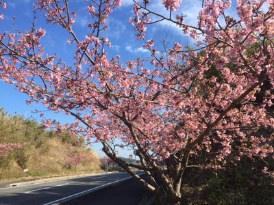 ３月のトリートメントDAY♪